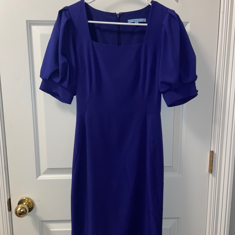 Gently used Antonio Melani dress
